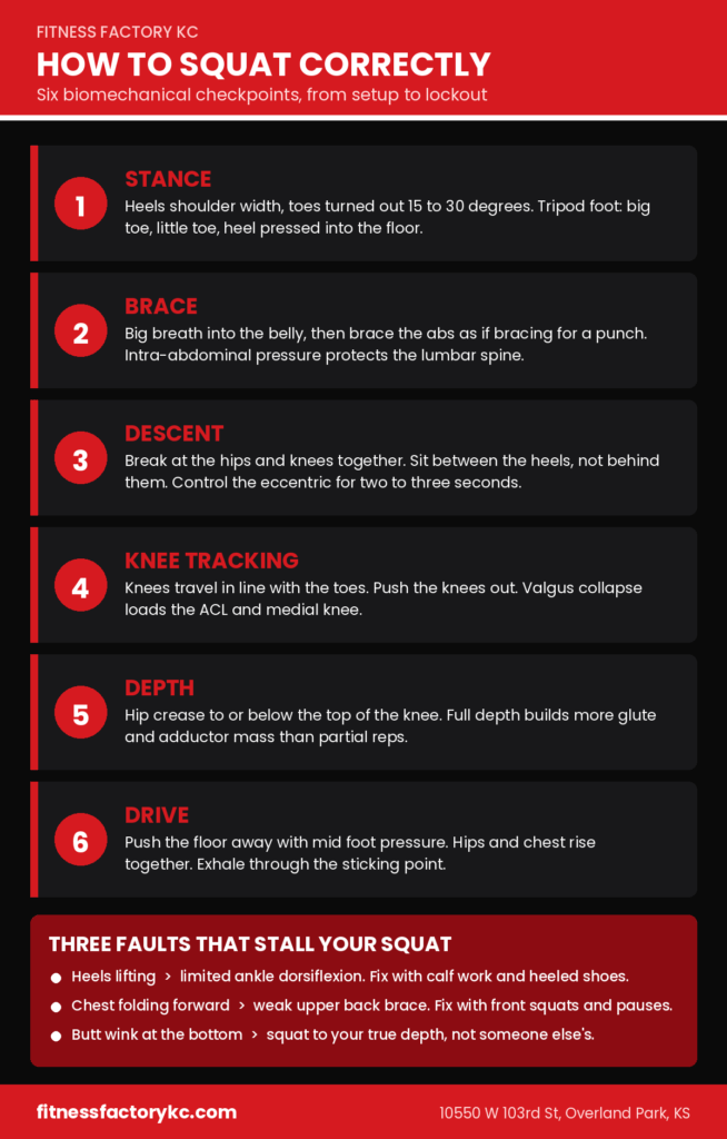 Squat Form Checkpoints