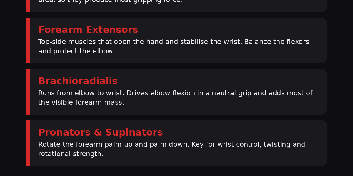 Grip and Forearm Strength Training